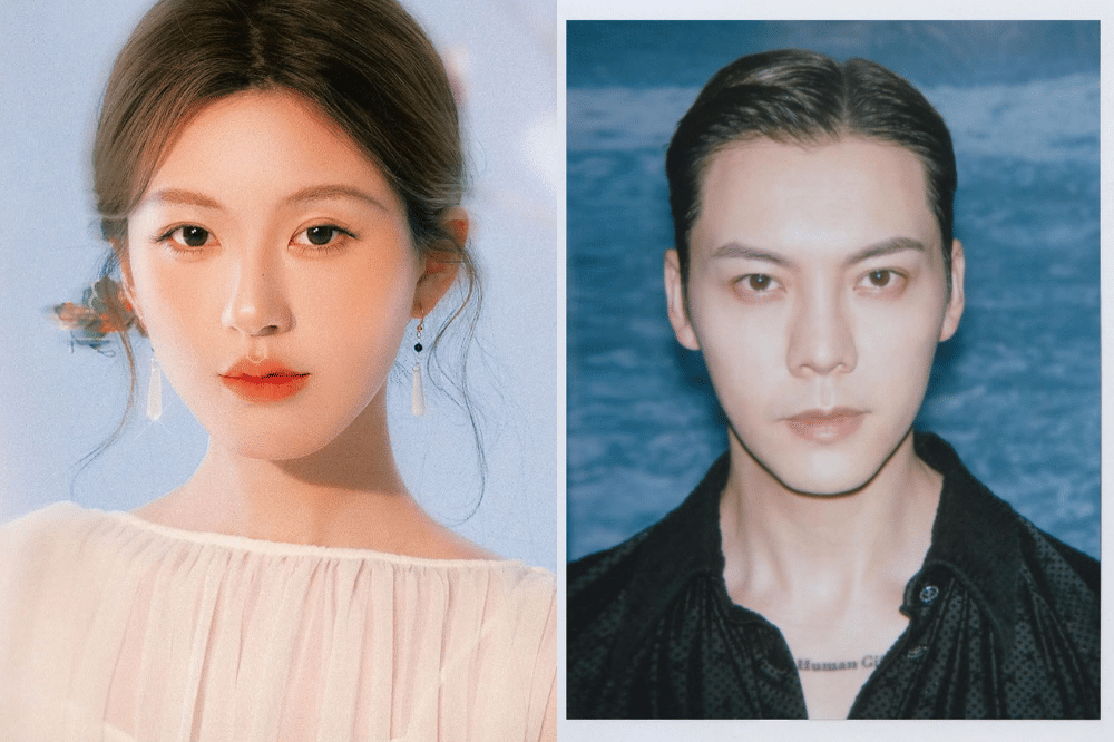 Pemeran Love's Ambition posters