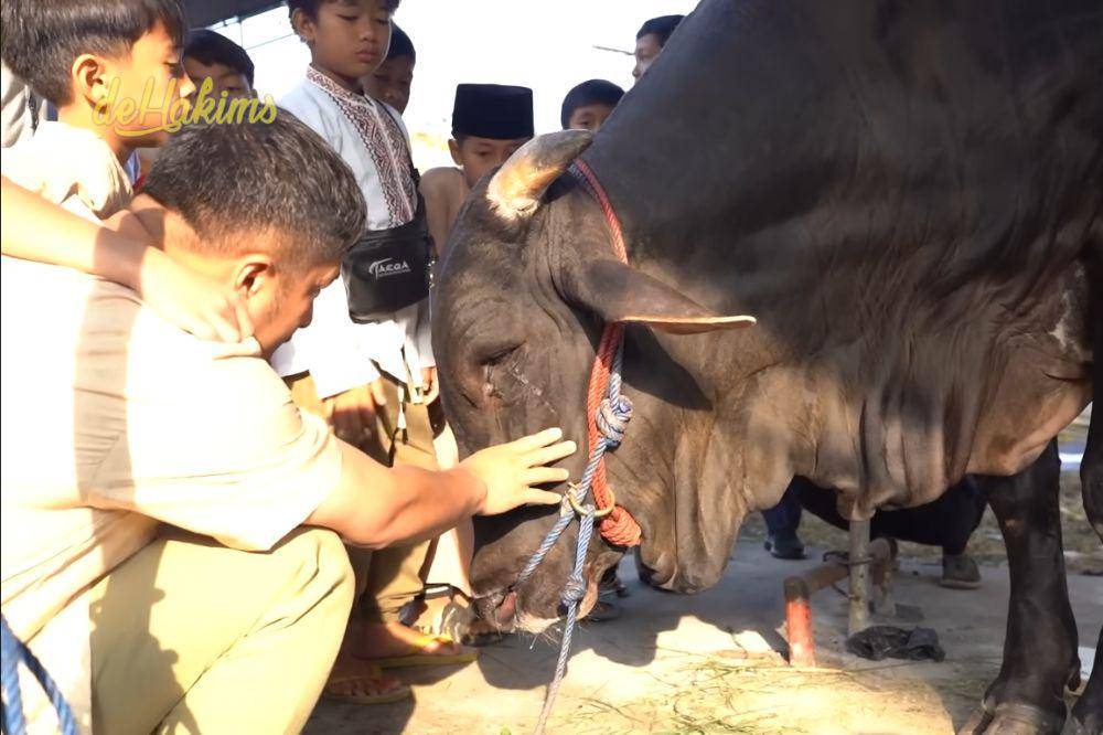 anak irfan hakim nangis karena sapi