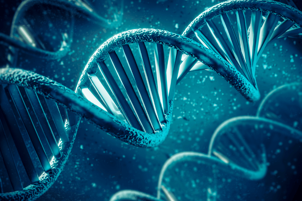 Pemeriksaan Sebelum Program Hamil (4).png