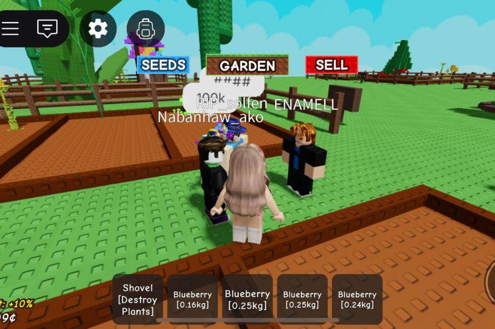 pemain grow a garden.jpg