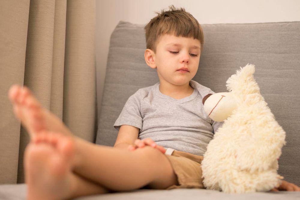 Anak laki-laki dan teddy bear