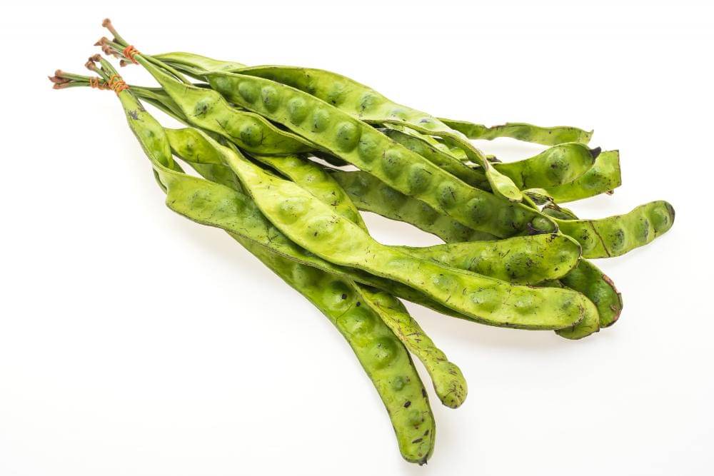 Bahan Makanan yang Bikin Kulkas Bau