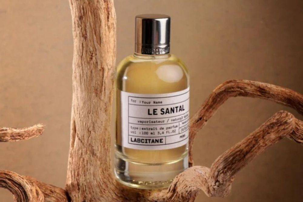 rekomendasi parfum 2.jpg