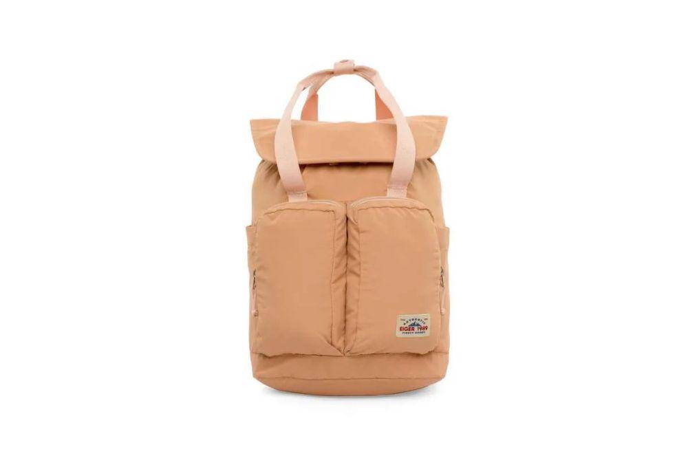 tas eiger.jpg
