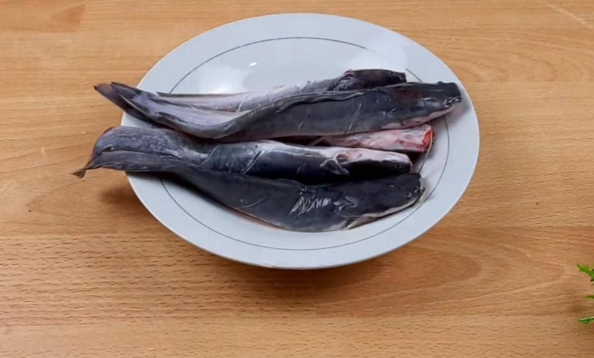 Ikan lele