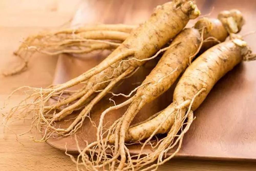 Ginseng (1).png