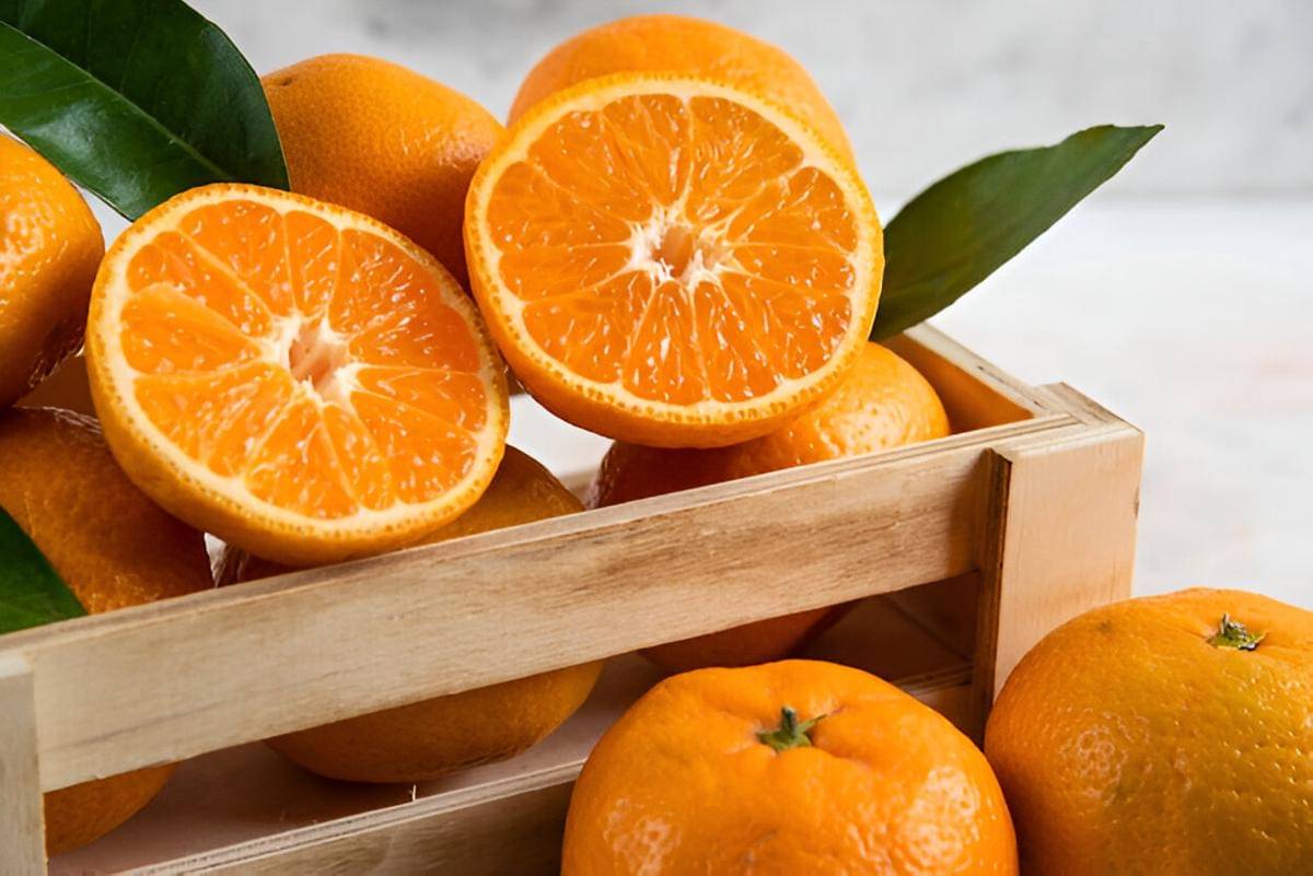 Cara Menyimpan Jeruk agar Tetap Segar