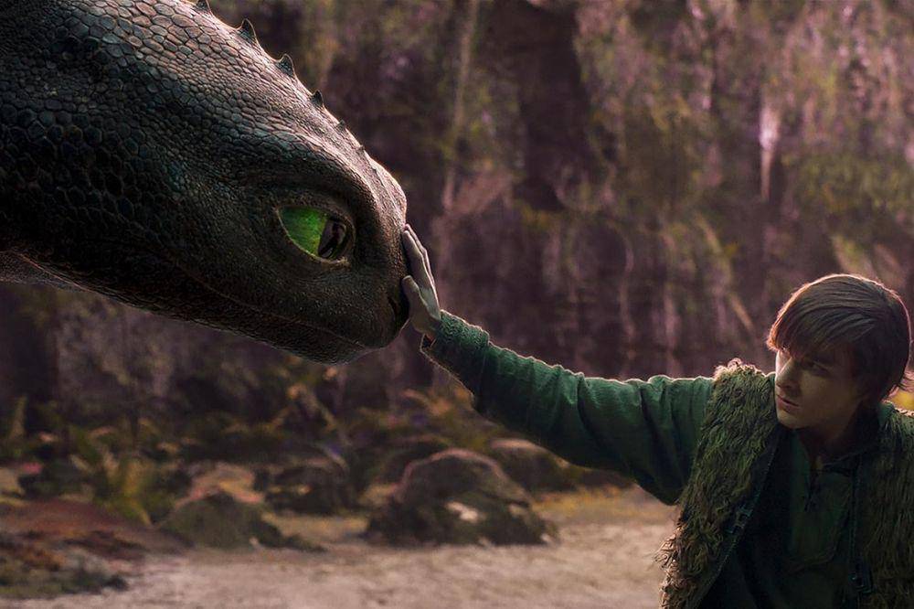 how to train your dragon