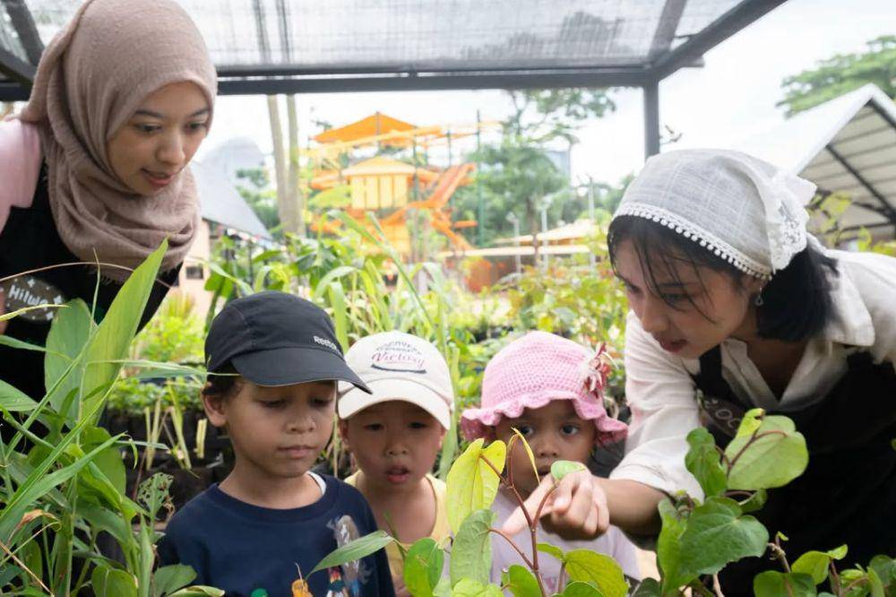 Kebun Kumara