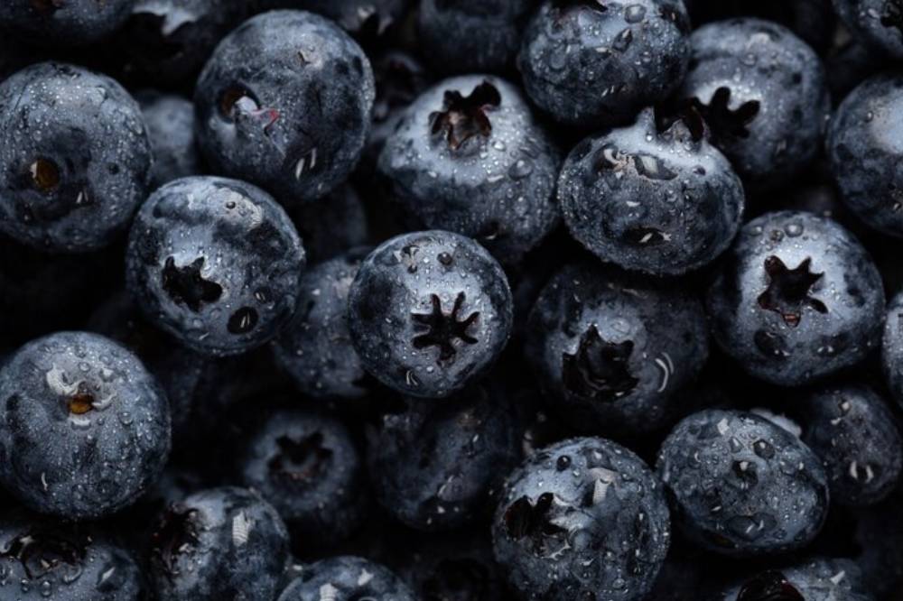 Blueberry .png
