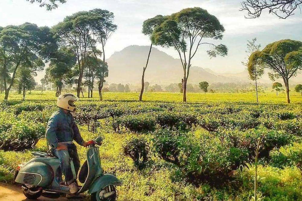 6 Tempat Wisata Pangalengan Paling Populer untuk Liburan Akhir Pekan.jpg
