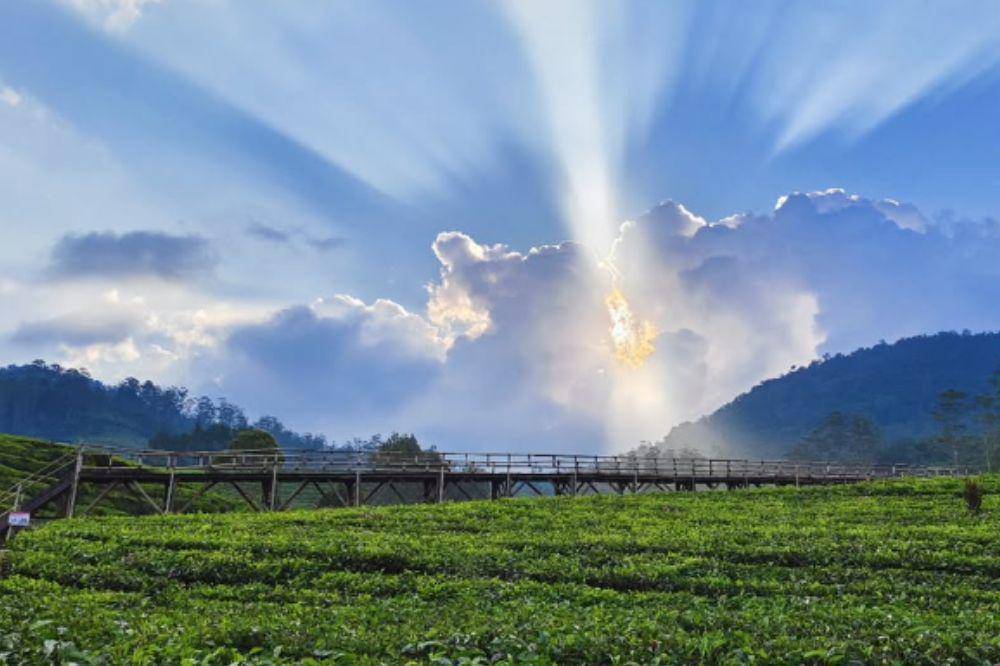 5 Tempat Wisata Pangalengan Paling Populer untuk Liburan Akhir Pekan.jpg
