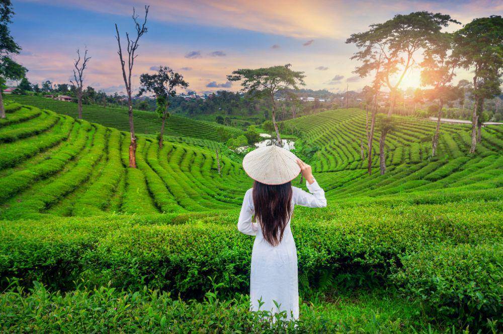 Tempat Wisata Pangalengan Paling Populer untuk Liburan Akhir Pekan.jpg