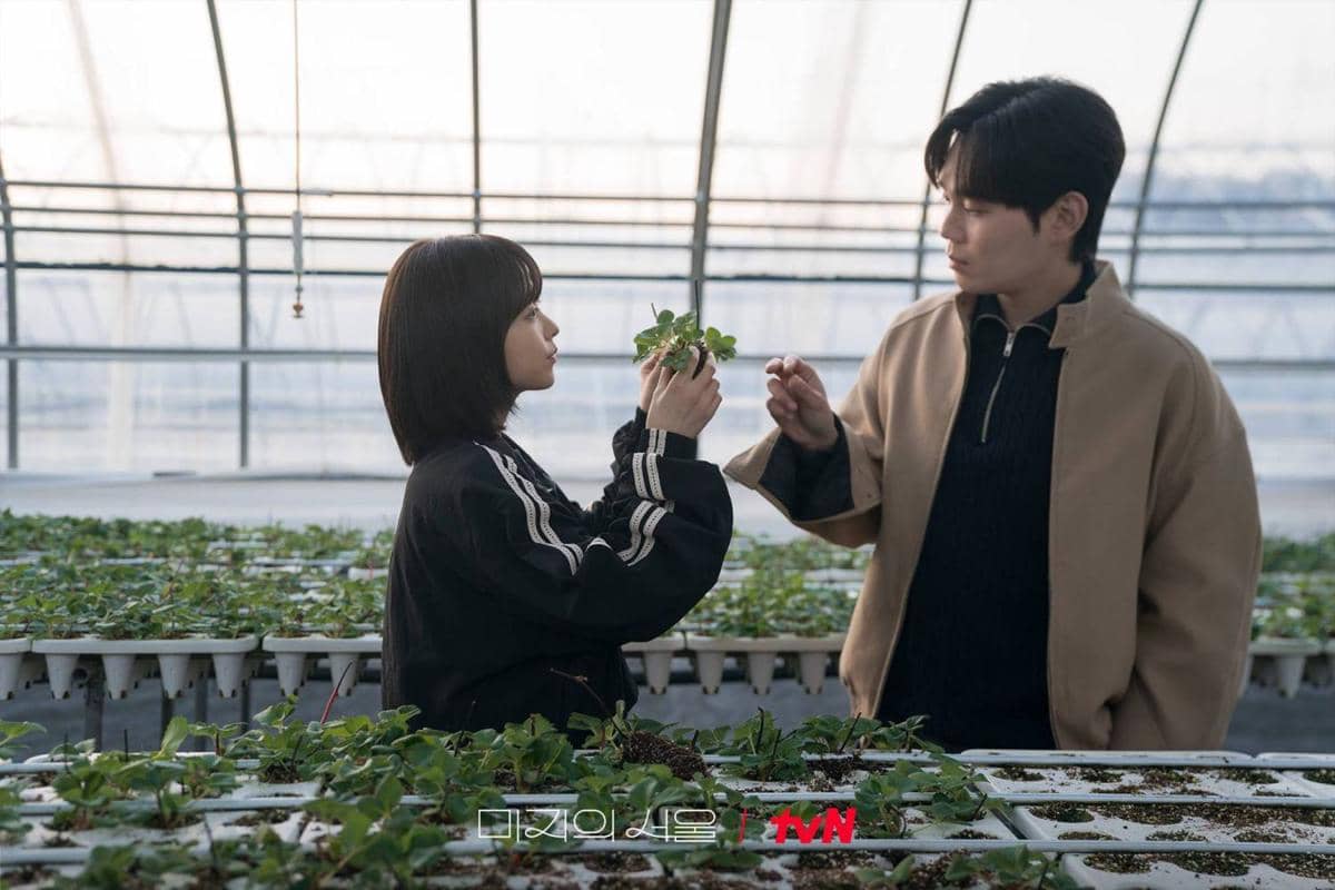 Pasangan Drama Korea Paling Banyak Dibicarakan 2025