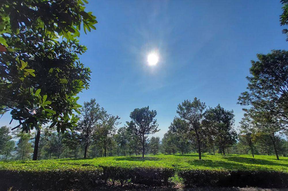 6 - Wisata Cianjur yang Punya Pemandangan Alam Menawan.jpg