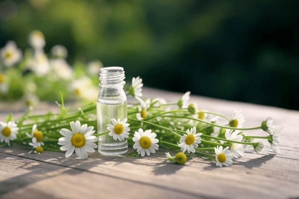 Pinterest.com/stylbio