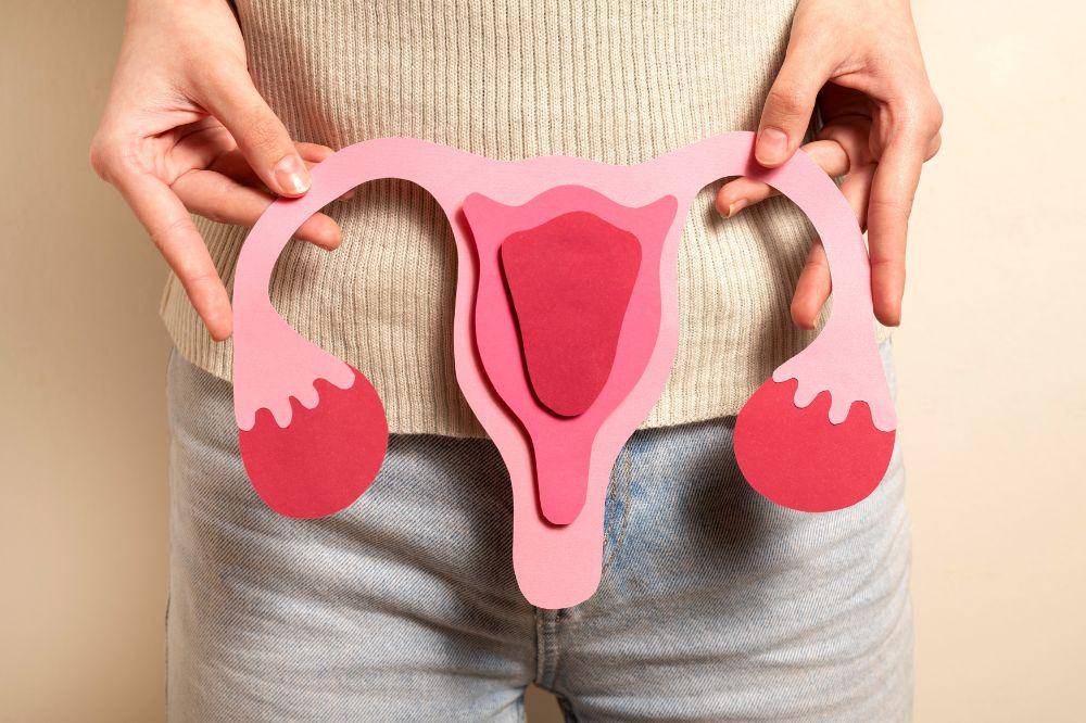 ilustrasi vagina 3.jpg