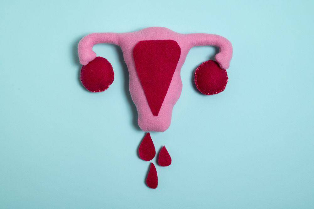 ilustrasi vagina 2.jpg