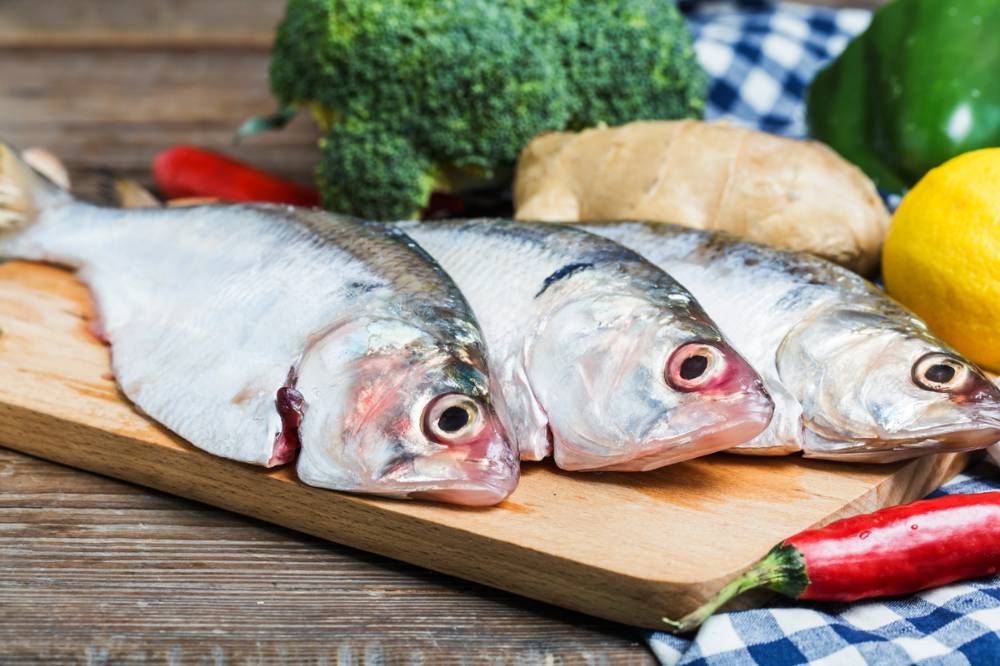 Ikan