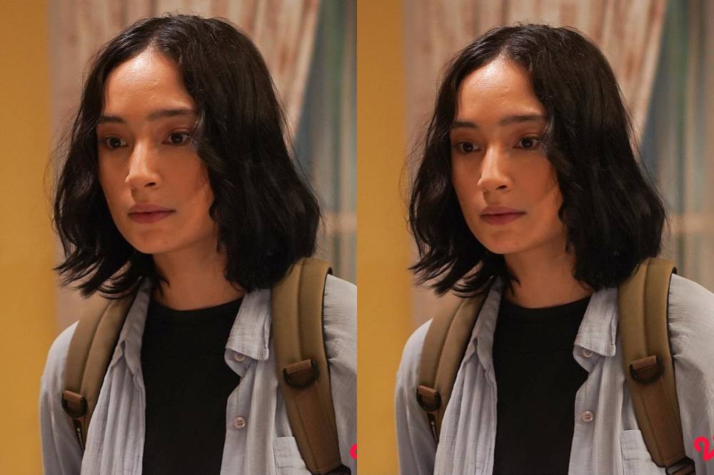 Fakta dan Sinopsis Series Roman Dendam