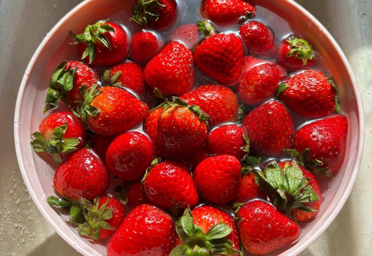 Pexels/ Laura Samaniego