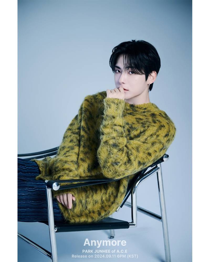 Park Jun Hee A.C.E