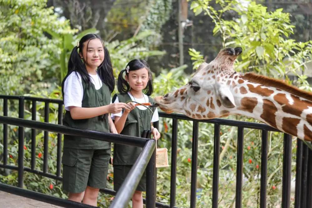 Anak main di Bandung zoo