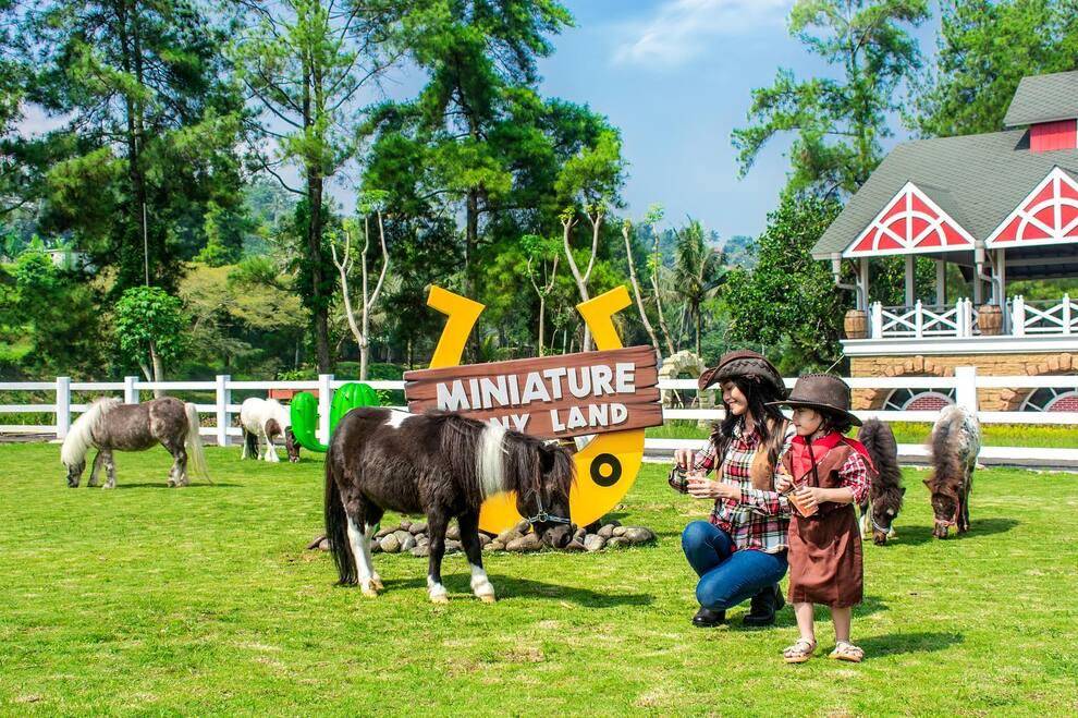 10 Tempat Wisata Kuliner Bogor Terdekat dengan View Memikat