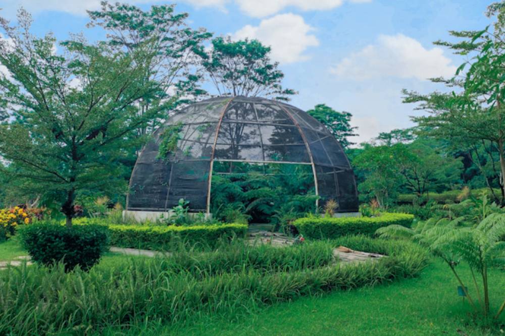 Kebun Raya Indrokilo