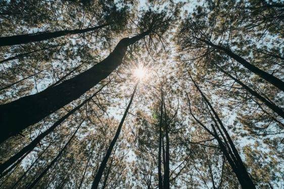 19 Tempat Wisata Alam Semarang Terdekat, Jadi Favorit Keluarga! 12.jpg