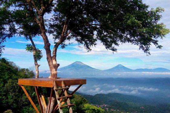 19 Tempat Wisata Alam Semarang Terdekat, Jadi Favorit Keluarga! 14.jpg