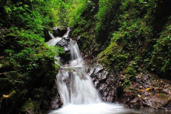 19 Tempat Wisata Alam Semarang Terdekat, Jadi Favorit Keluarga! 7.jpg