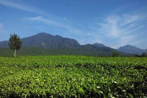 17 Tempat Wisata Alam Bandung Terdekat, Bikin Pikiran Fresh Lagi! 11.jpg