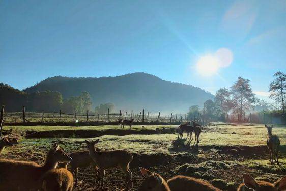 17 Tempat Wisata Alam Bandung Terdekat, Bikin Pikiran Fresh Lagi! 8.jpg