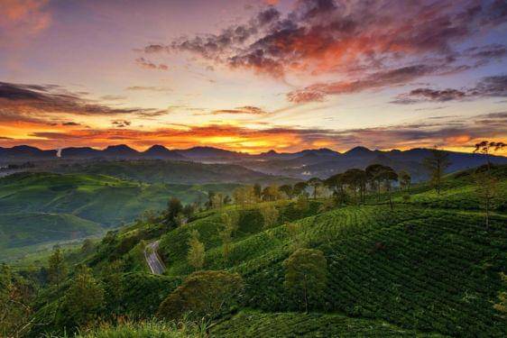 17 Tempat Wisata Alam Bandung Terdekat, Bikin Pikiran Fresh Lagi! 14.jpg