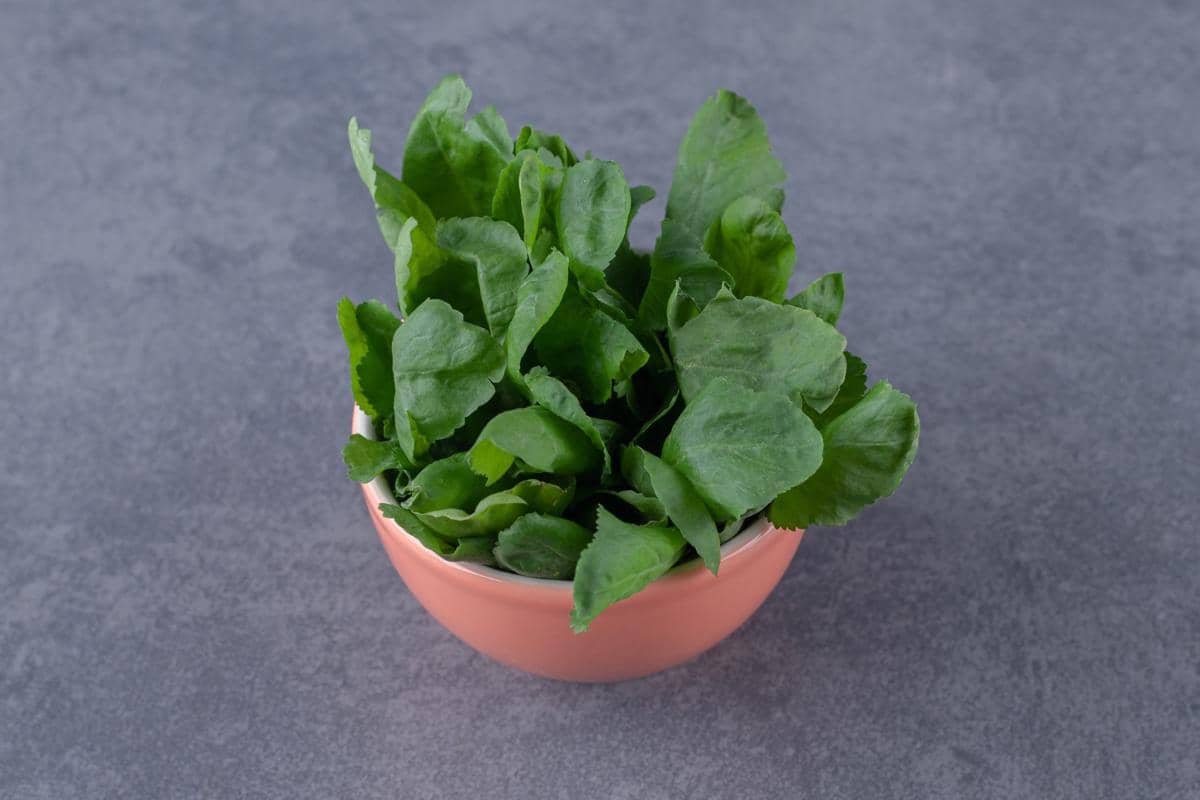 Centella
