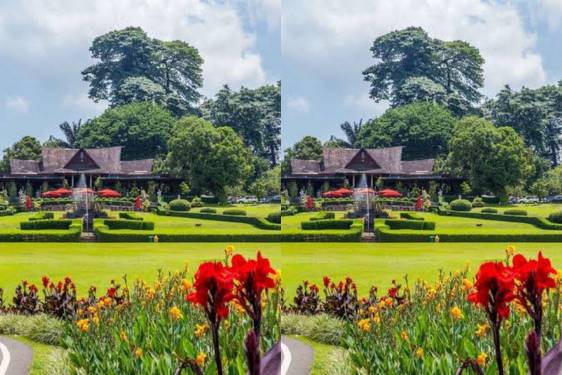 10 Tempat Wisata Alam Bogor Terdekat, Spot Seru untuk Short Escape