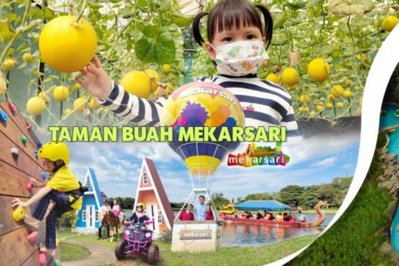 10 Tempat Wisata Alam Bogor Terdekat, Spot Seru untuk Short Escape