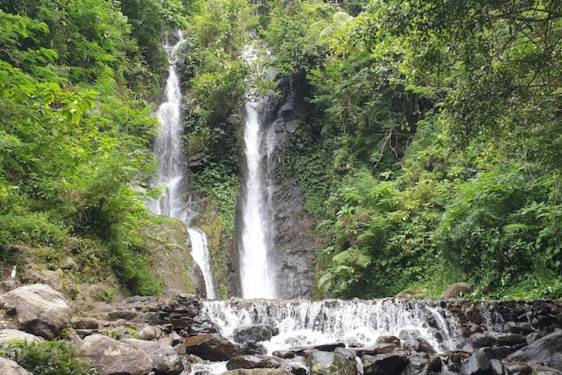 10 Tempat Wisata Alam Bogor Terdekat, Spot Seru untuk Short Escape