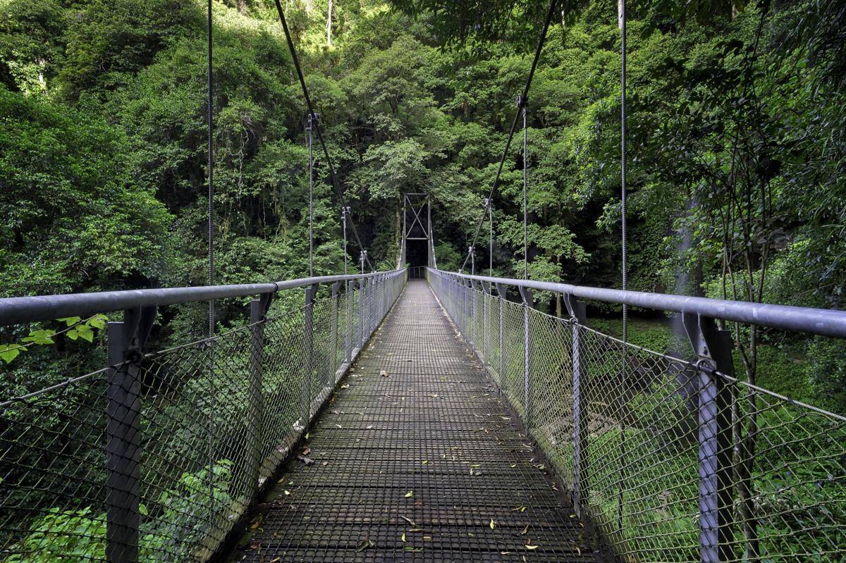 10 Tempat Wisata Alam Bogor Terdekat, Spot Seru untuk Short Escape