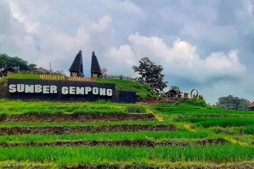 Wisata Sawah Sumber Gempong