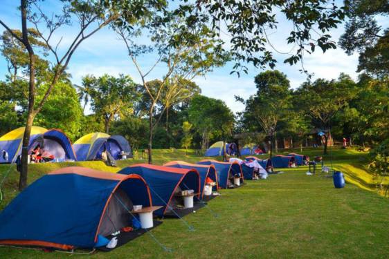 10 Tempat Wisata Alam Bogor Terdekat, Spot Seru untuk Short Escape