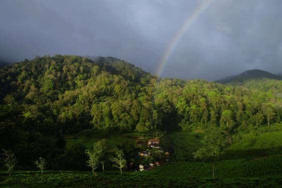 10 Tempat Wisata Alam Bogor Terdekat, Spot Seru untuk Short Escape
