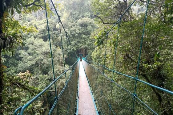 10 Tempat Wisata Alam Bogor Terdekat, Spot Seru untuk Short Escape