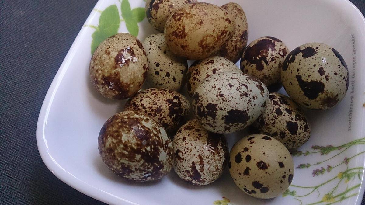 Commons.m.wikimedia.org/ProjectManhattan