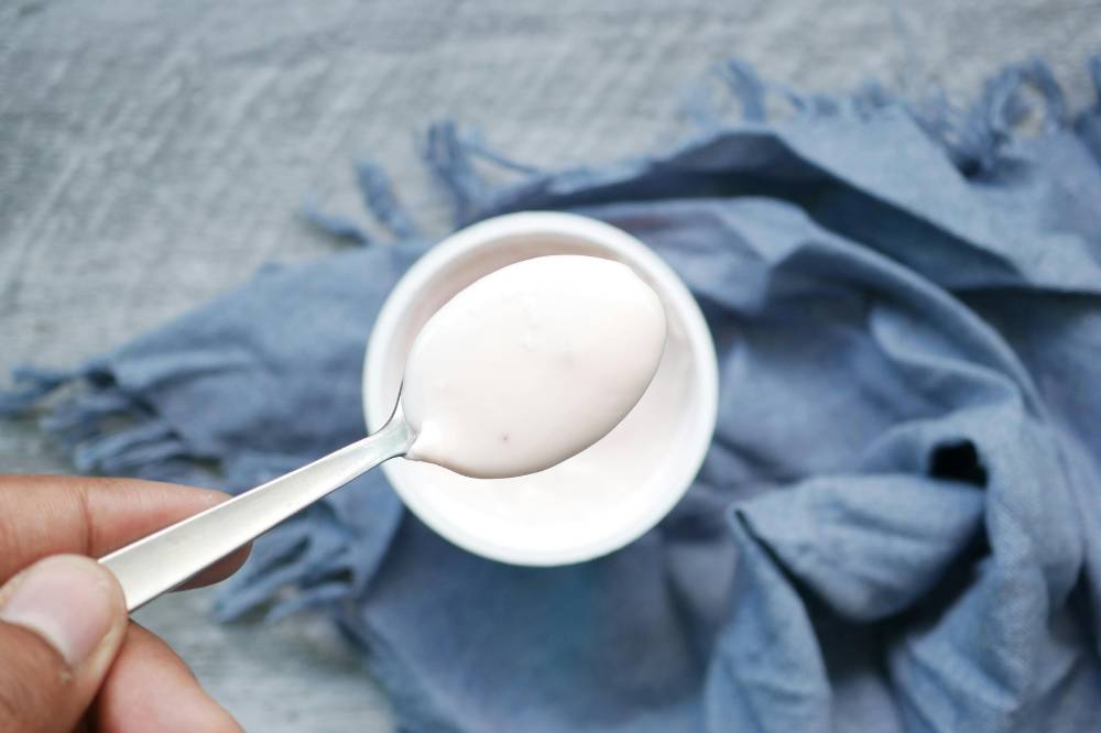 Yogurt