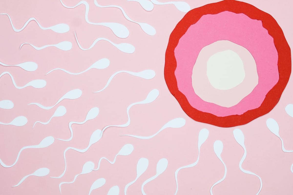 Analisis Sperma: Memahami Arti Motilitas, Morfologi, dan Konsentrasi