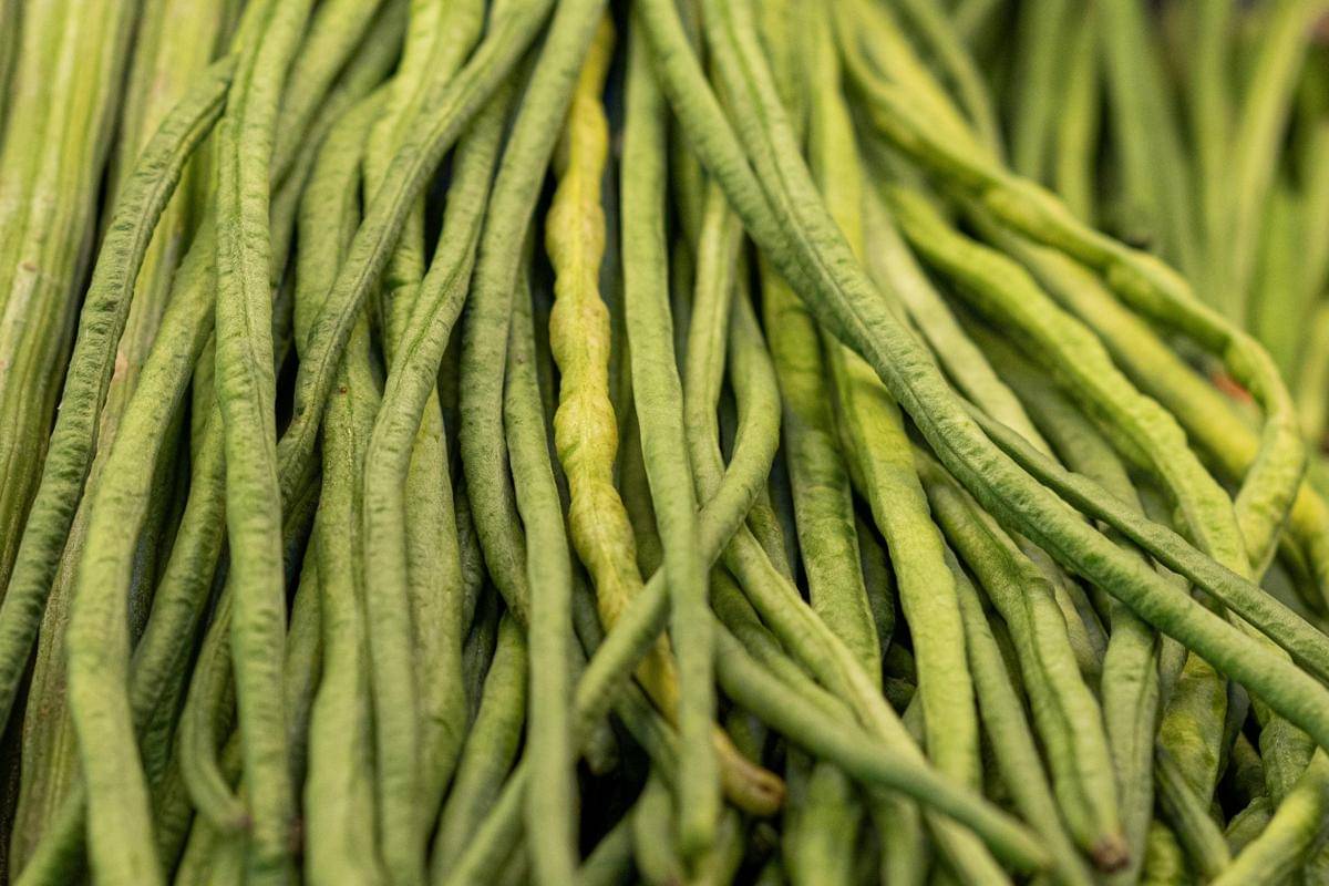 10 sayuran hijau yang boleh dimakan penderita asam urat