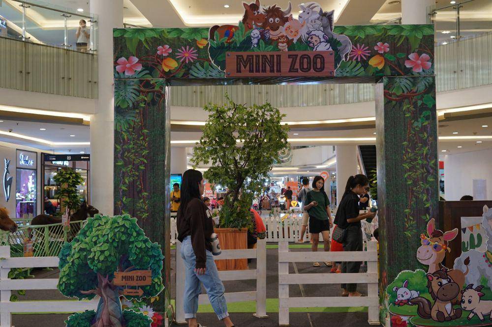 Mini Zoo Holiday with Baby Zu.jpg