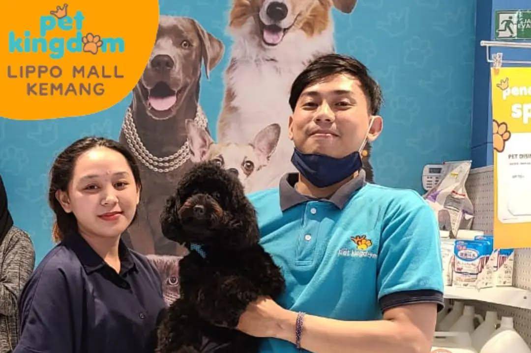 Pet Shop Terdekat di Jakarta Selatan